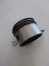 Briggs & Stratton Engine Model 98902-0110-01 Piston 793214. Fixed Price $24.95.