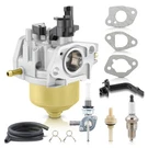 Carburetor For Etq TG2500 TG3000 TG3600 TG4000 Gasoline Generator 16100-170-00. Fixed Price $19.99.