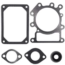 794152 Valve Gasket Kit Set Fit For 690190 Craftsman 18.5HP Intek Engine. Fixed Price $16.68.