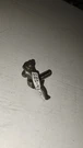 Oem Toro Intake Rocker Arm Part #121-4195 (used Good Condition). Fixed Price $10.99.