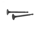 Rotary 8473 266-0191 Nhc Exhaust Valve. Fixed Price $34.04.