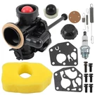 Carburetor Fit For Briggs Stratton 795476 795477 498811 795469 794147 699660. Fixed Price $199.99.