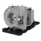 Jaspertronics Lamp & Housing For Optoma X319USTIR Projectors - Year Warranty. Fixed Price $104.99.