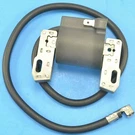 Ignition Coil For Briggs & Stratton 192432 192436 192437 192452 192701 192702. Fixed Price $16.89.