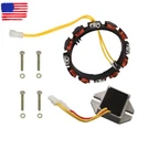Alternator Stator Coil 2PIN For Briggs & Stratton 691064 592830 393295 696458. Fixed Price $24.21.