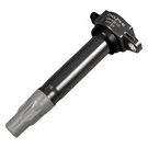 For Dodge Charger 2006-2010 Delphi GN10310 Ignition Coil. Fixed Price $34.15.