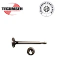 Tecumseh Oem Standard Exhaust Valve 27878A. Fixed Price $18.99.