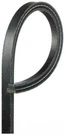Accessory Drive Belt Gates 6613BR. Fixed Price $18.17.