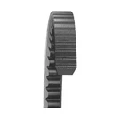 Dayco 22490 V Belt,. Fixed Price $36.86.
