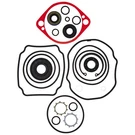 Exmark 105-6184 Overhaul Seal Kit Lazer As Hp Lc Turf Tracer Ecs Hydro. Fixed Price $69.99.