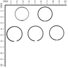 Briggs & Stratton 399067 Standard Piston Ring Set. Fixed Price $24.95.