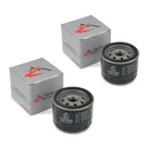 Set Of Oil Filters For Rotary 12861, 6929, Sears Craftsman 24603, 33935. Fixed Price $29.99.