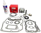 Rebuild Kit 493262 Piston Fit Briggs & Stratton Quatum Engines 12A800 12D800. Fixed Price $79.95.