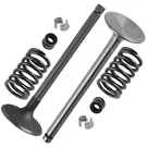 Caltric 6201701-S 2408902-S 1275503-S Exhaust & Intake Valve Kit For Kohler. Fixed Price $29.50.