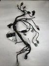 Kohler Command ECV860 Efi 29HP Wiring Harness Assy 19 176 11-S Oem Genuine. Fixed Price $89.94.